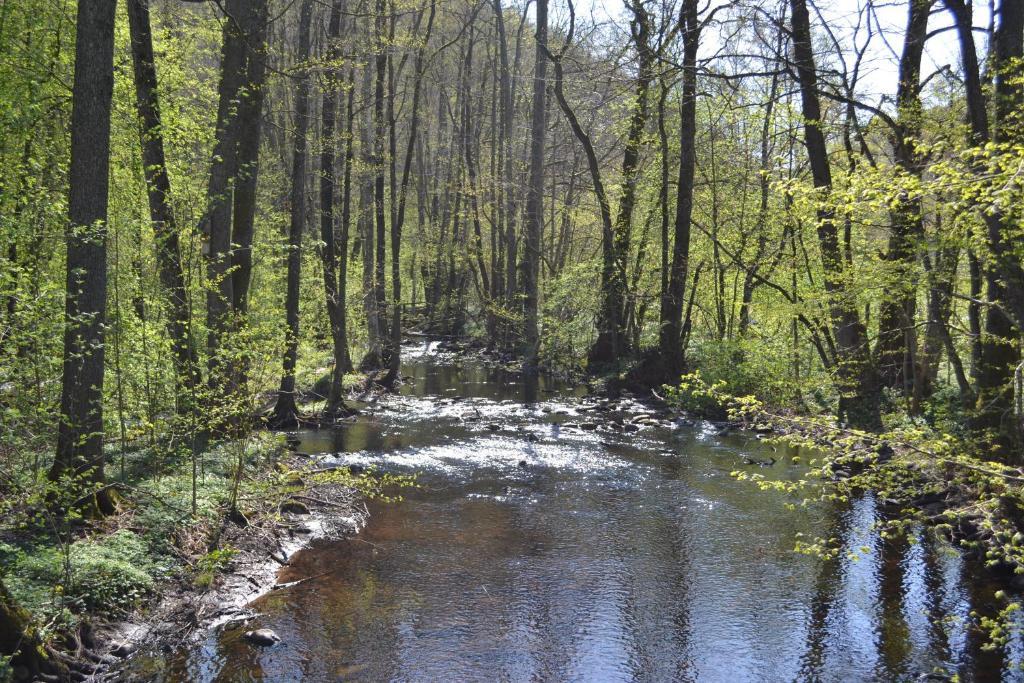 Ostello Soederasens Skafferi - Logi Ljungbyhed Esterno foto